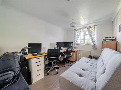 Picture 11